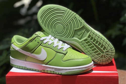 DUNK LOW RETRO 